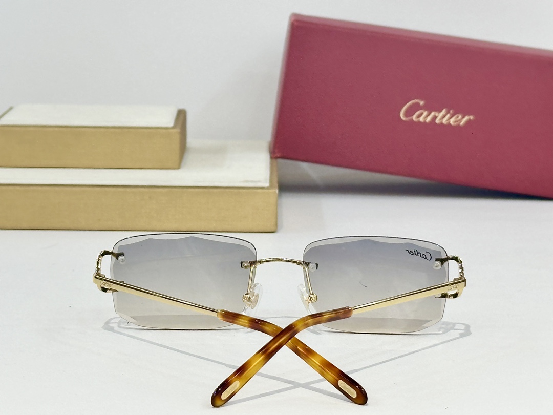 Cartie*
MODEL：CT0029O
SIZE：54口17-140
 
变色：