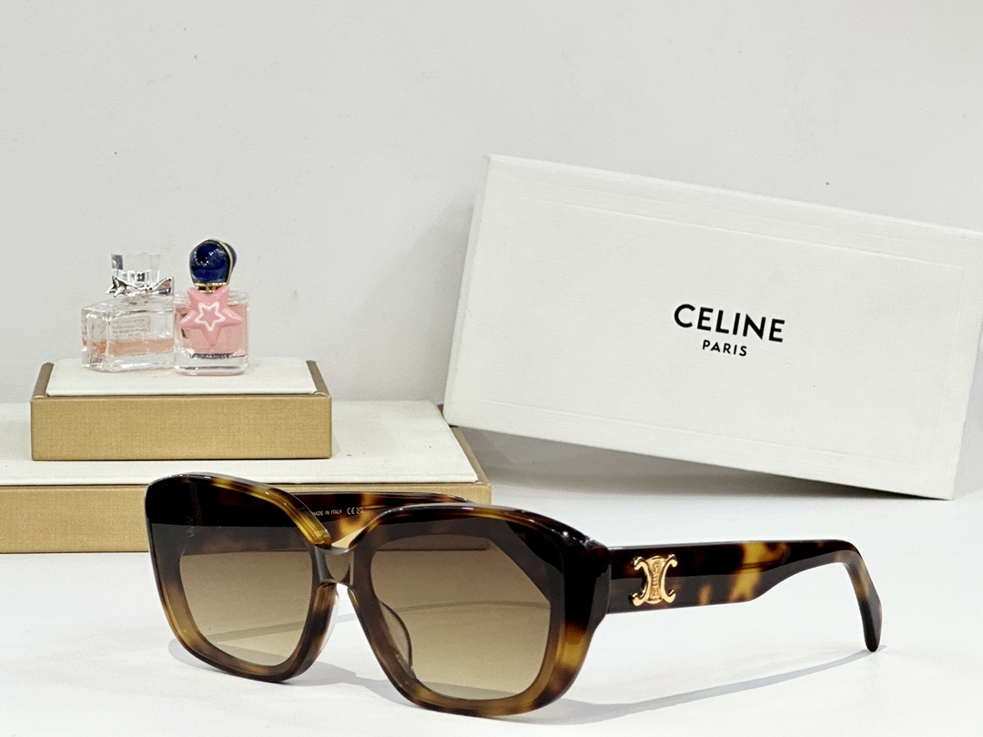  CELINE
MOD：CL42125U
Size：54口18 145
