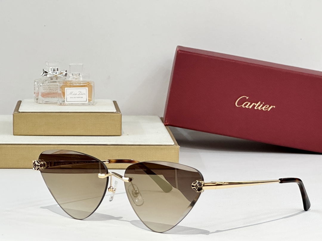 Cartier
MOD：CT0399S
size：62口15-145
 
变色：
