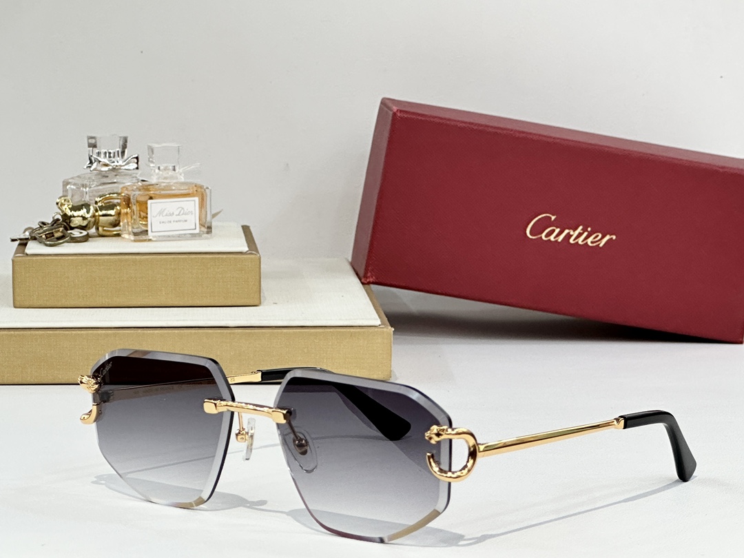 Cartie*
MODEL：CT0634S
SIZE58口17-140
 
变色： 