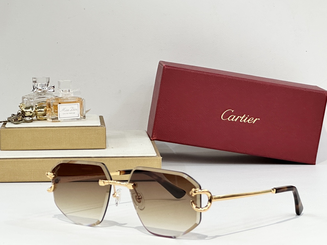 Cartie*
MODEL：CT0634S
SIZE58口17-140
 
变色： 