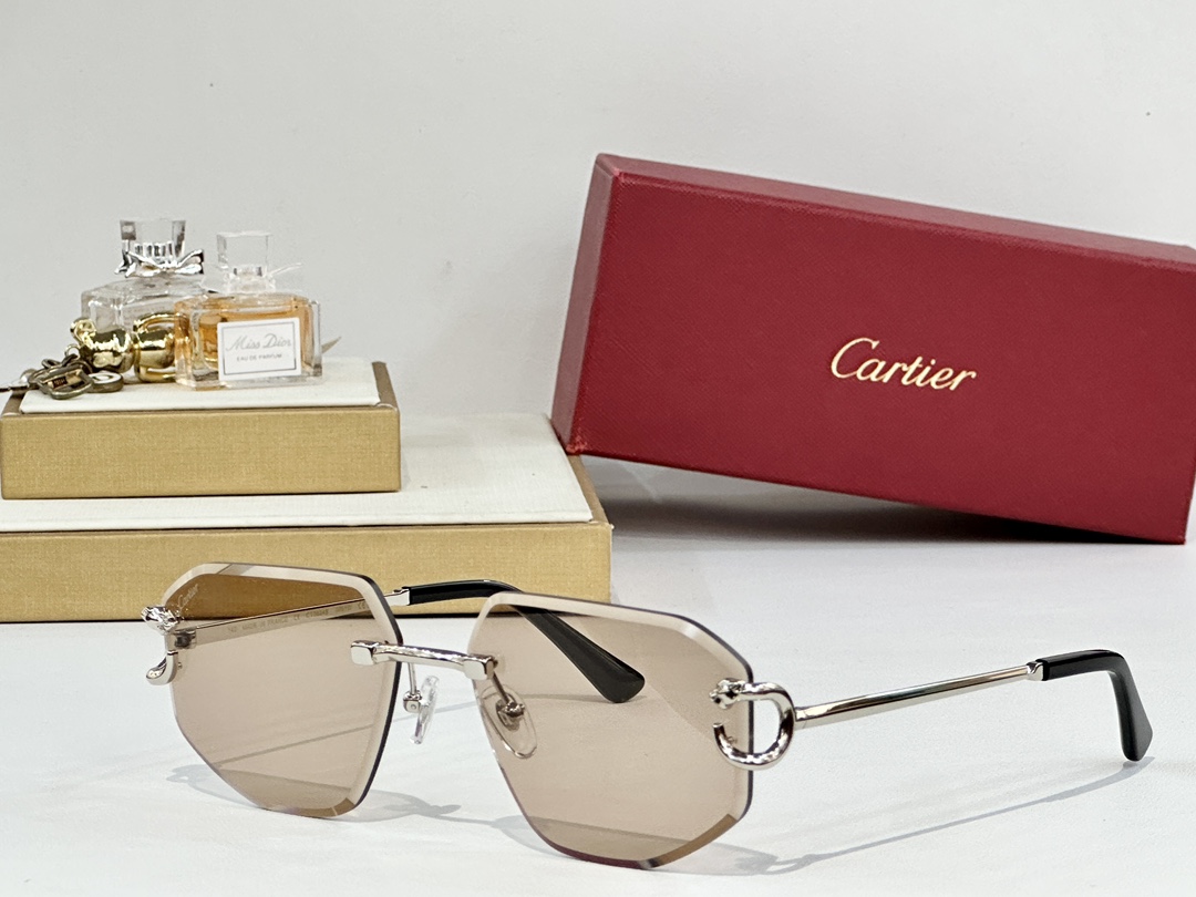 Cartie*
MODEL：CT0634S
SIZE58口17-140
 
变色： 