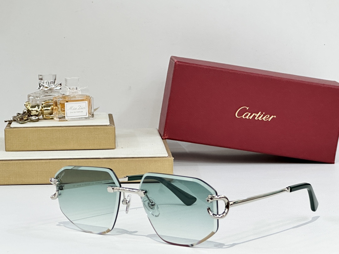 Cartie*
MODEL：CT0634S
SIZE58口17-140
 
变色： 