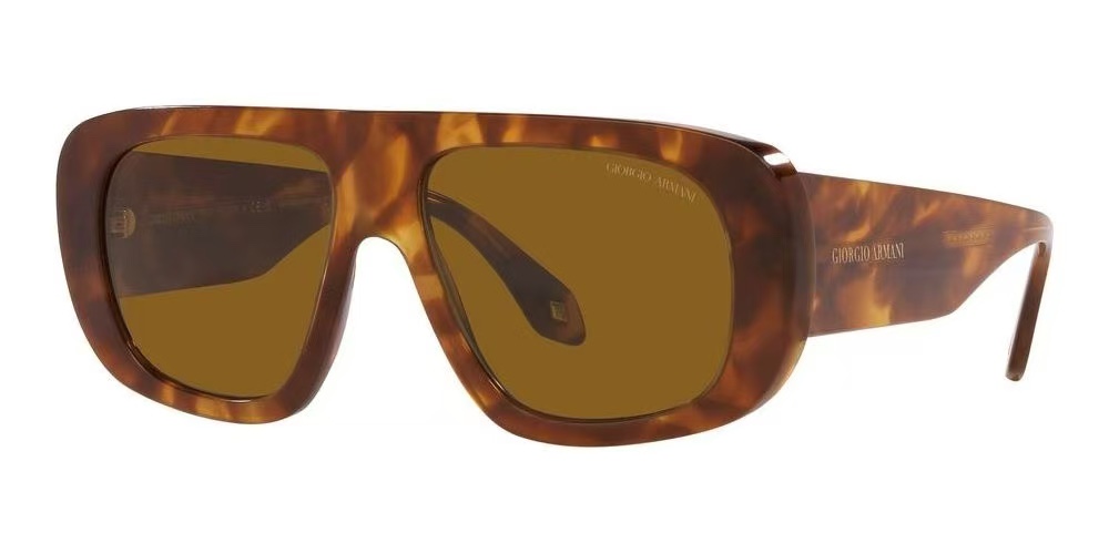  GIORGIO ARMANI
MOD：AR8183
Size：55口16 145

