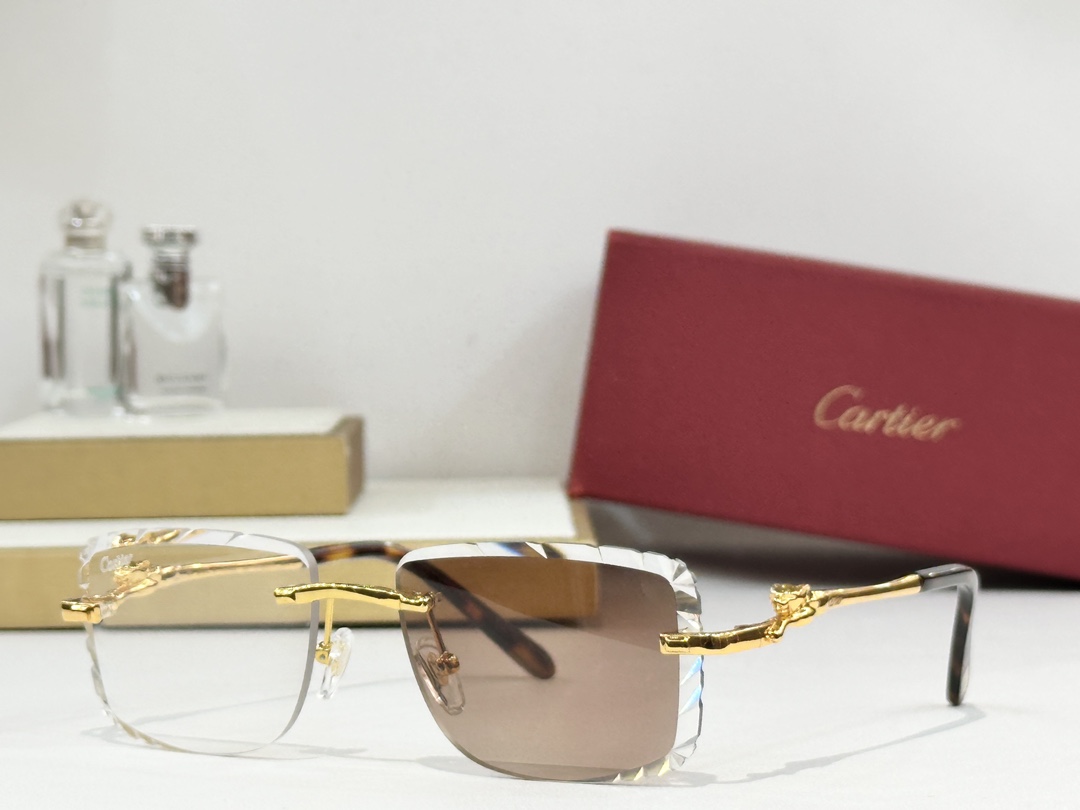  Cartie*
MODEL：CT0281O
SIZE 56口17-135
