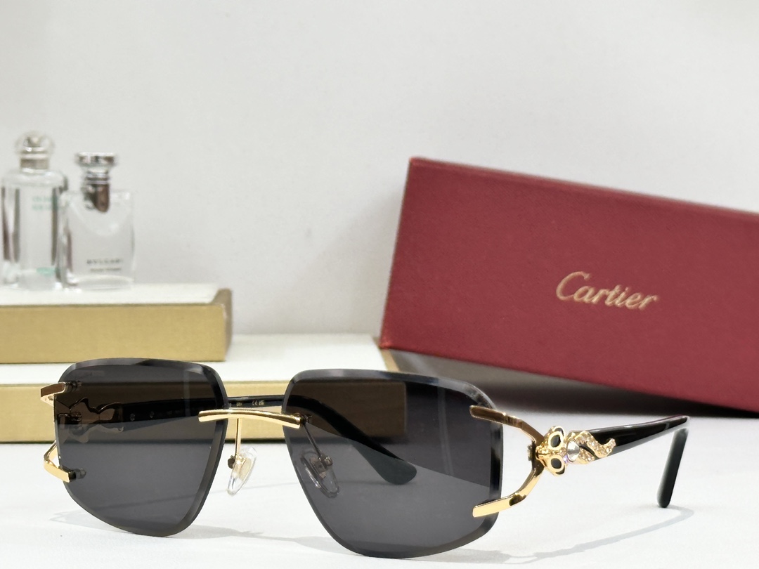  Cartie*
MODEL：CT01477O
SIZE 59口17-140
