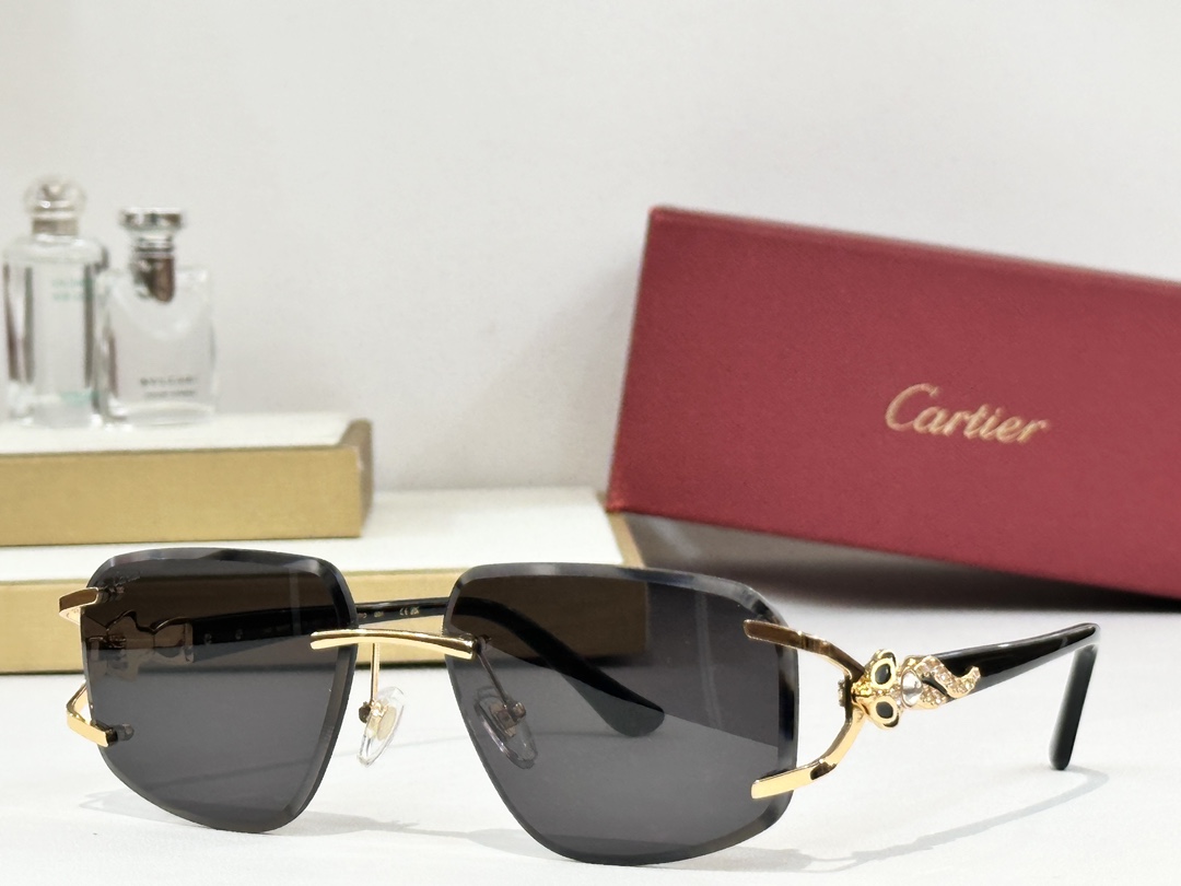  Cartie*
MODEL：CT01477O
SIZE 59口17-140
