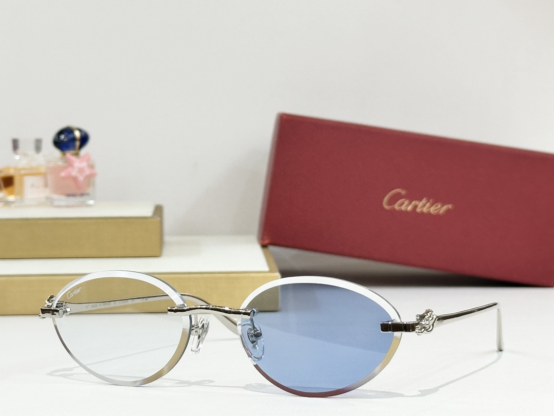  Cartier
MOD：CT0504S
Size：57口18 137
