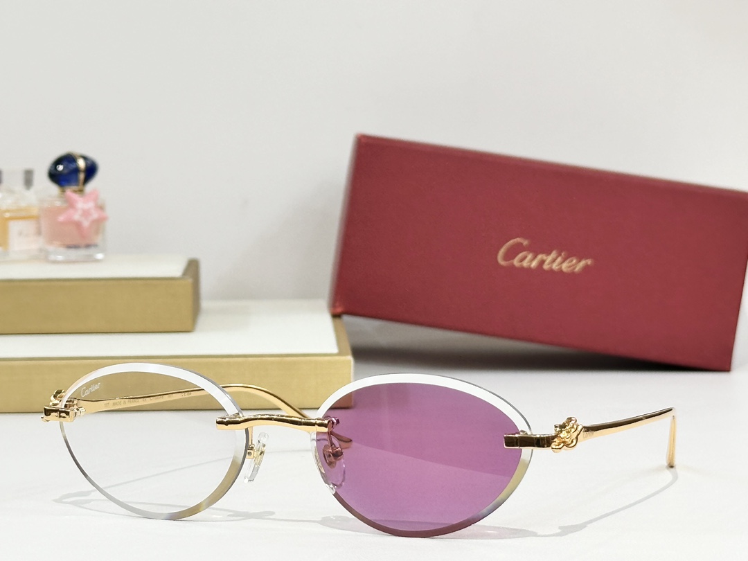 Cartier
MOD：CT0504S
Size：57口18 137
