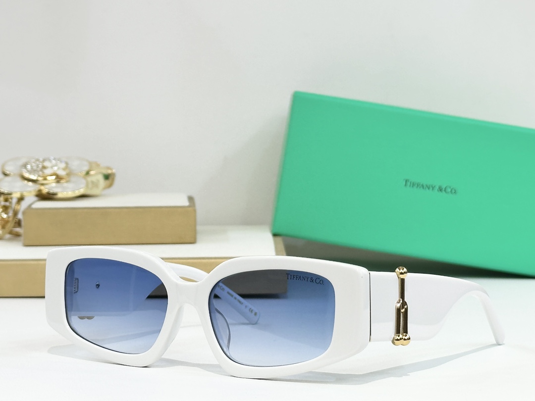  TIFFANY & CO.
MODELTF4208
SIZE54口17-140
