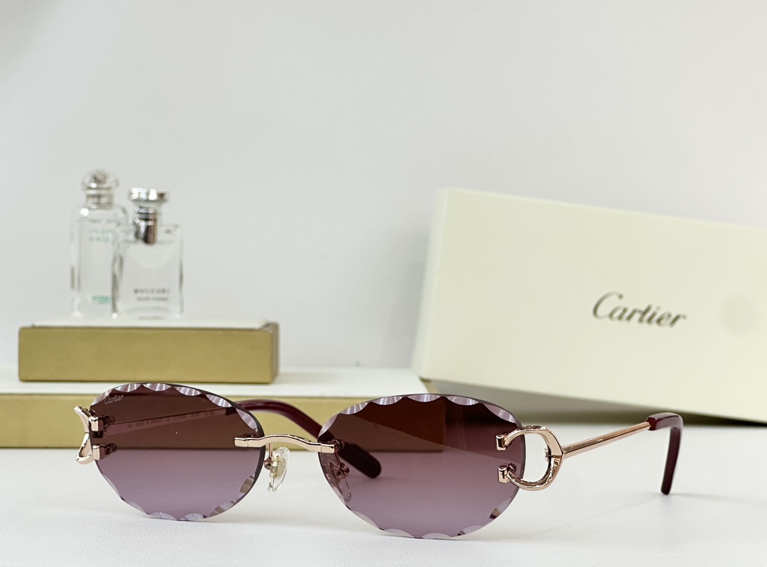 Cartie*
MODEL：CT0599S
SIZE 55口17-142
 
变色：