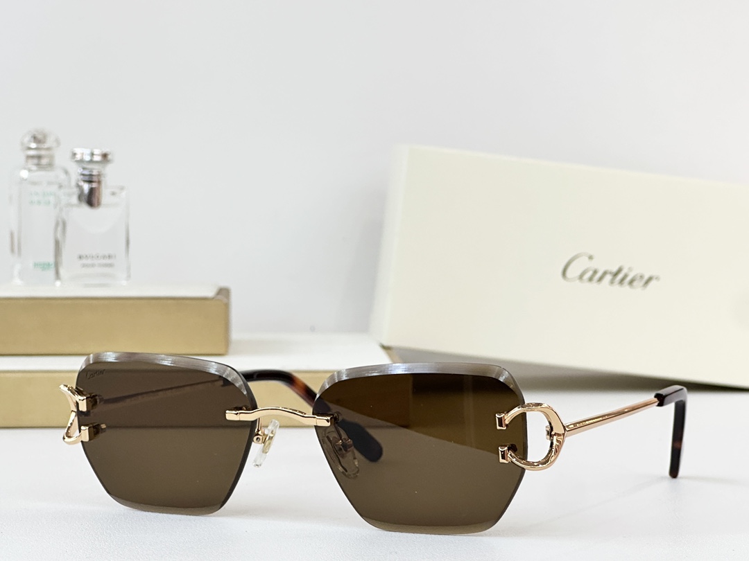  Cartier
MOD：CT0597
Size：142

