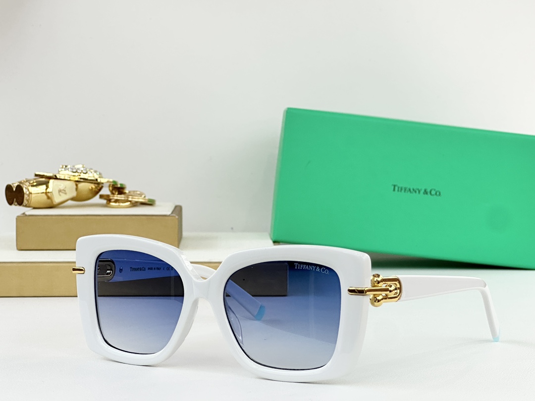  TIFFANY & CO.
MODELTF4199
SIZE53口18-140
