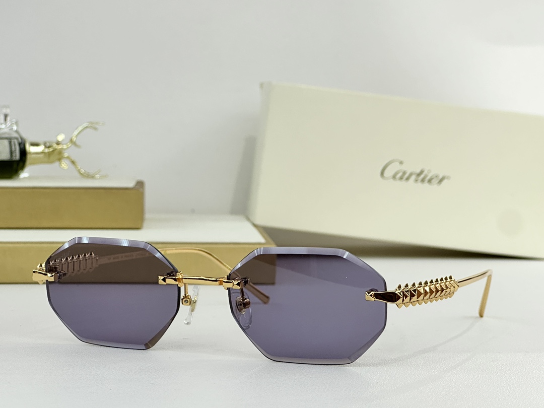 𝘾𝘼𝙍𝙏𝙄𝙀𝙍 MOD：CT0703SSize：55口19 140 变色：