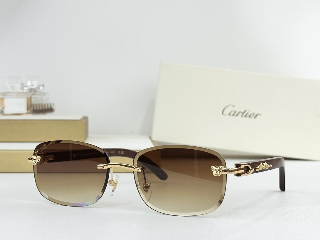 Cartie*MODEL：CT0554SSIZE：60口17-143