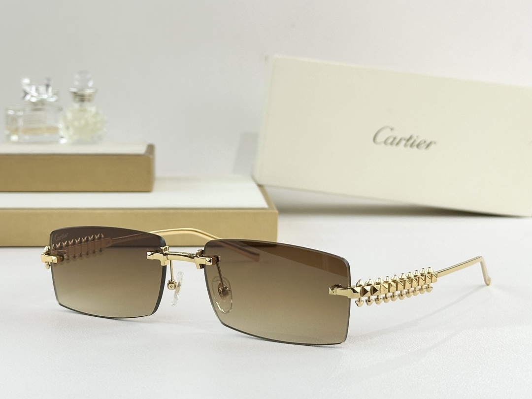 Cartier Mod：CT0604SSize：58-17-140