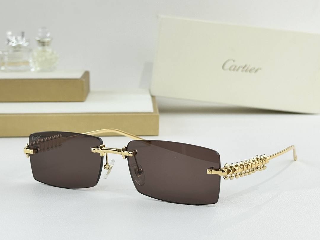 Cartier Mod：CT0604SSize：58-17-140