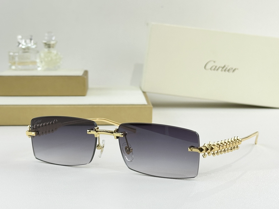 Cartier Mod：CT0604SSize：58-17-140