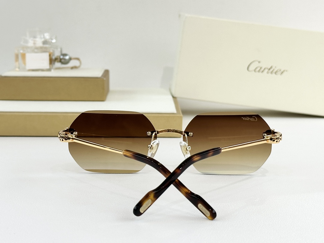 Cartie*MODEL：CT0756SSIZE: 143变色：