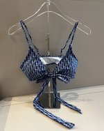 Dior Clothing Swimwear & Beachwear Replica Online
 Quick Dry
