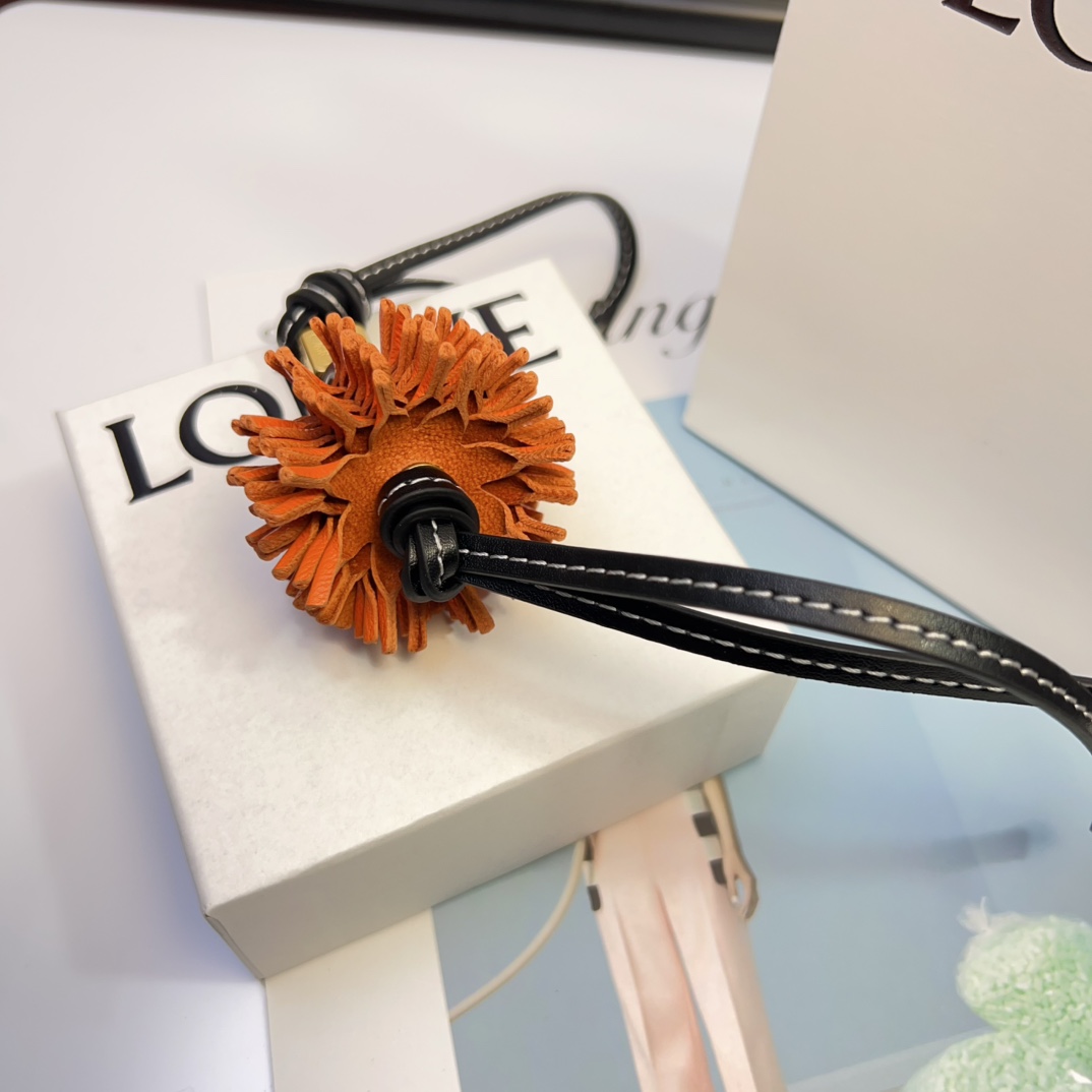 Loewe Luxury Handbag Collection 5