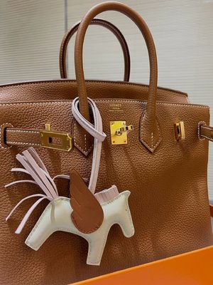 Hermes Birkin Bags Handbags Brown Coffee Color White Gold Hardware Fall/Winter Collection