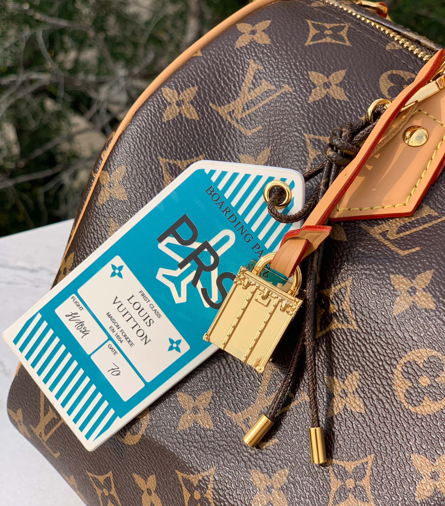 🌼 m11945尺寸：30×21×17cm全网首发新品Lv Speedy Soft30 枕头包！采用特殊