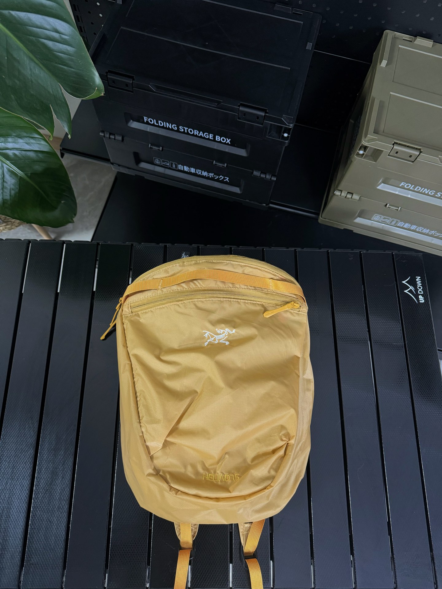💰110 款号G24
#Arcteryx / 始祖鸟 Heliad 15L 八色齐发
双肩背包防水运动户外攀登男女同款背包 始祖鸟休闲双肩包背包
最近博主们人手一个的始祖鸟书包,“中年三宝”始祖鸟黑色双肩包。
超级轻量!!背上跟没背一样! 不要觉的轻就是质量差! 布料超级贵 定制品。
越南代工出品,细节之处做到了极致,无论是设计还是用料,都是户外天花板的存在。
各大博主们近期出镜率,最高的双肩包依旧是这款始祖鸟的双肩包!!拉链款的,黑色看到的是最多的!
小鸟的最新款HELIAD15升轻量化双肩包,一如即往的好面料好做工好辅料!一款三好包包!面料内有防水涂层,自折叠收纳囗袋!细节图都拍的很清楚啦!
最近韩国博主人手一个的始祖鸟双肩包,自身材质非常轻的一款户外包,装得下笔记本以及种种出门必备搭配运动装、日常look都不违和,韩国博主挖掘单品的能力真的respect!
材质:硅脂和PU涂层100D Cordura Mini Ripstop
结构:主隔层
内部结构:拉链暗袋
闭合方式:防水拉链
长期款,可主推~
颜色:暗夜黑 幽雾绿 荧光绿 浅粉色 藤棕色 卡车绿 山川灰 姜黄
尺码:均码 15L