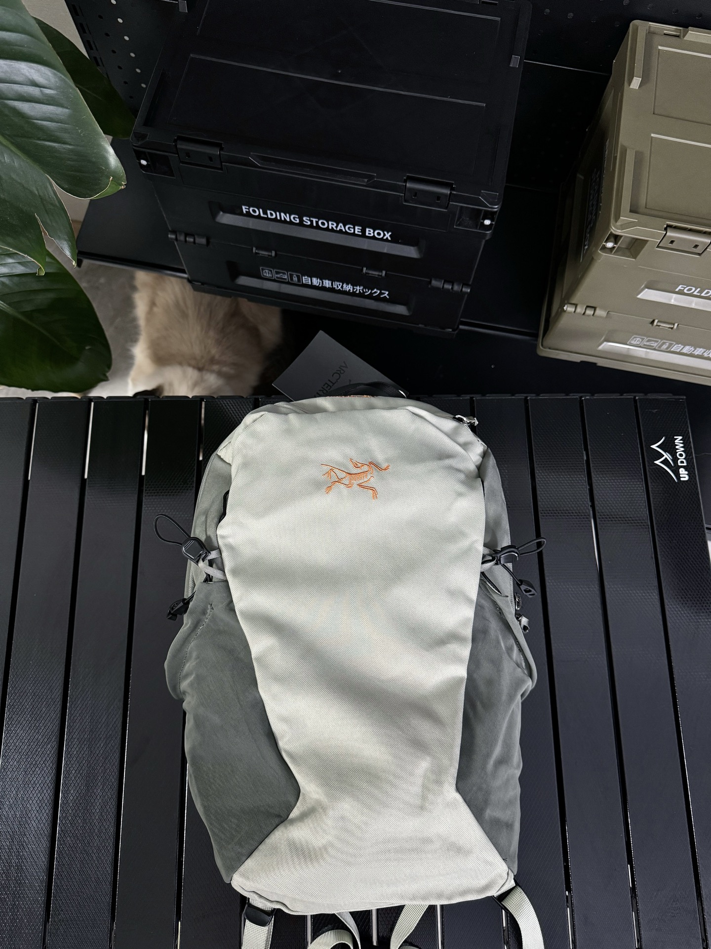 💰200 款号G25 Arcteryx始祖鸟 Mantis 16L 轻便耐用多功能 尼龙 背包双肩包 男女同款情侣款 （后背碳钢板支撑） 新款男女16升休闲运动双肩背包电脑包 全网都在夸的双肩包！！！精选优质面料，YKK拉链，做工精细，论实用一定是众多品牌里面颜值高的！其他颜值比高的没有它方便！比它还方便好用的颜值不如它！大容量包体 一年四季都可以背的款 轻薄 背起来毫无负担。反正我是赶紧的自留了！出趟门什么的这样的双肩包还是非常适合的！ 颜色：黑色 灰白色 尺寸：45*26*21.7