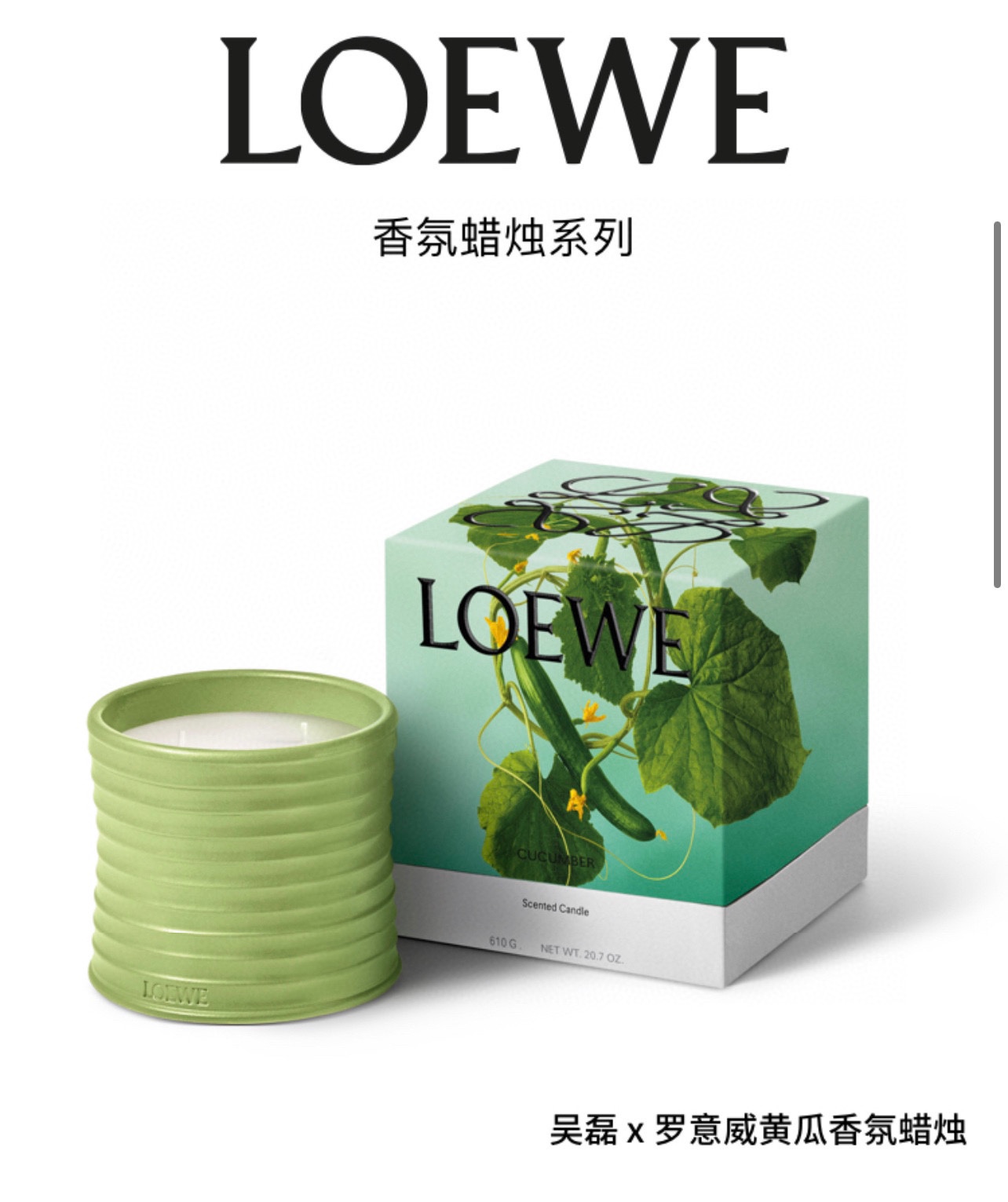 LOEWE Cucumber Scented Candle (Limited Edition - Comprehensive