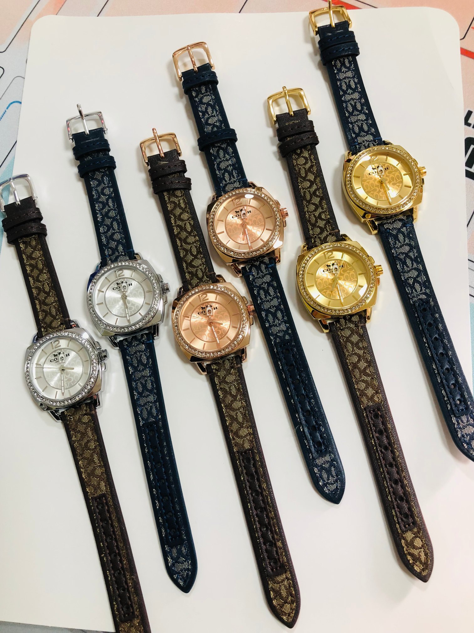 High-Quality 252-Pair Pins and Stylish Coach Fashion with Old Bull-Skin Belts