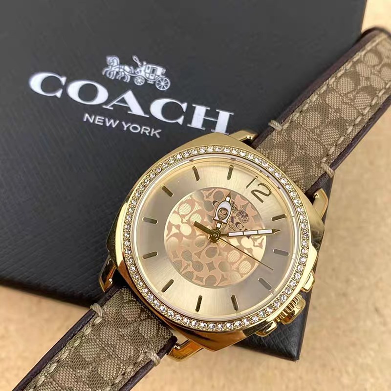 High-Quality 252 Pairs of Pins, Coach’s Stylish and Luxurious Fashion Accessories - 图片 5