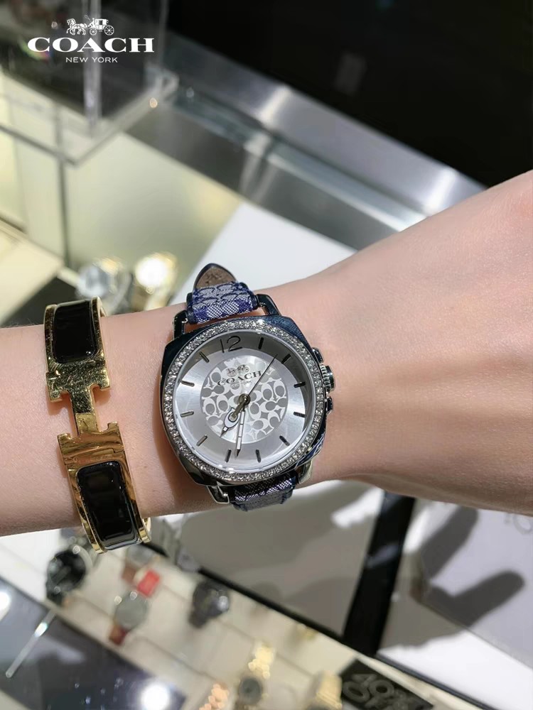 High-Quality 252 Pairs of Pins, Coach’s Stylish and Luxurious Fashion Accessories - 图片 6