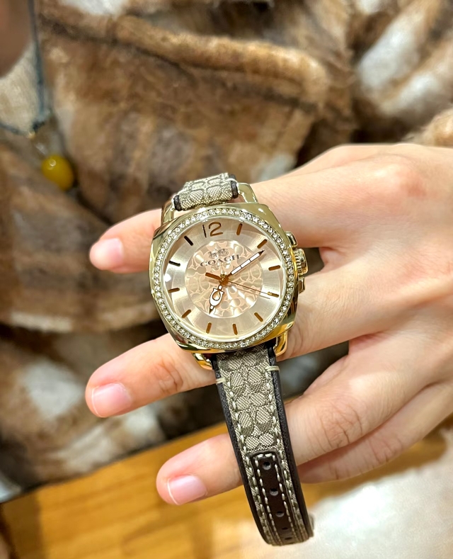 High-Quality 252 Pairs of Pins, Coach’s Stylish and Luxurious Fashion Accessories - 图片 3