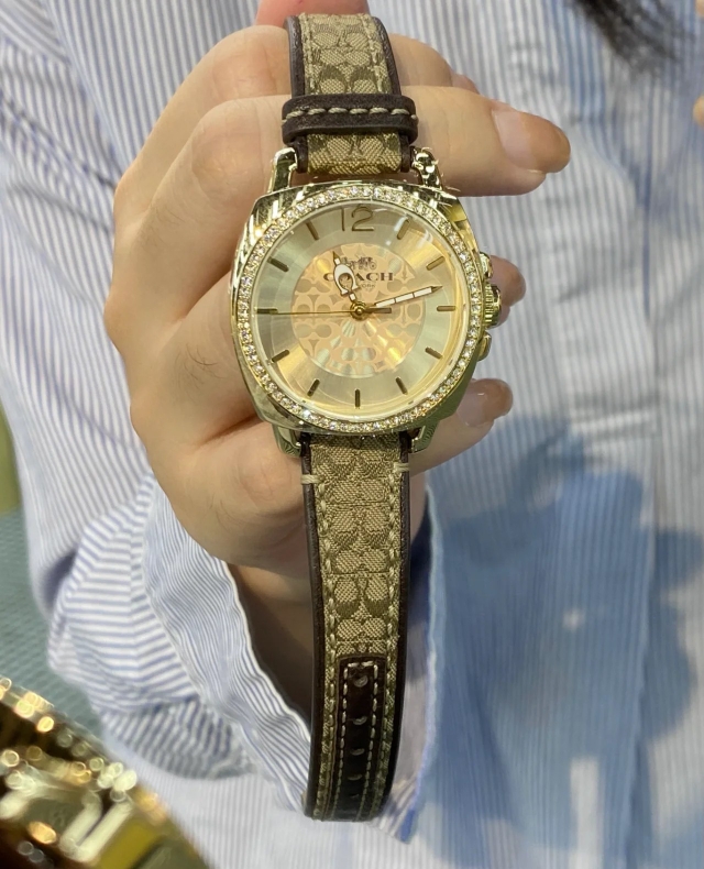 High-Quality 252 Pairs of Pins, Coach’s Stylish and Luxurious Fashion Accessories - 图片 4