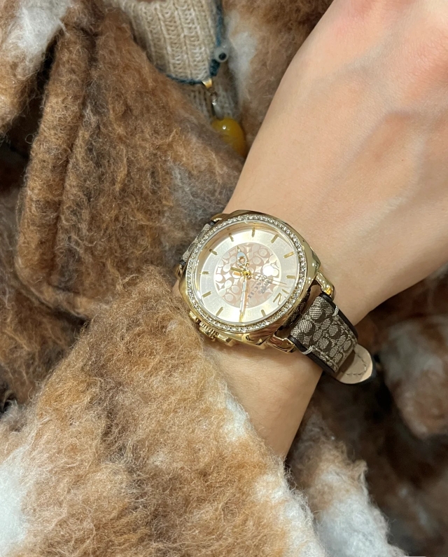 High-Quality 252 Pairs of Pins, Coach’s Stylish and Luxurious Fashion Accessories - 图片 8