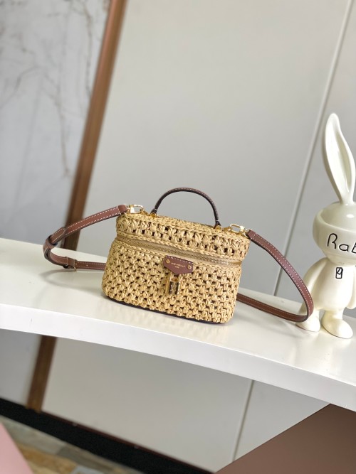 Louis Vuitton Vanity Chain Pouch Raffia and Leather Accents Shoulder Bag 1 Louis Vuitton Vanity Chain Pouch Raffia and Leather Accents Shoulder Bag
