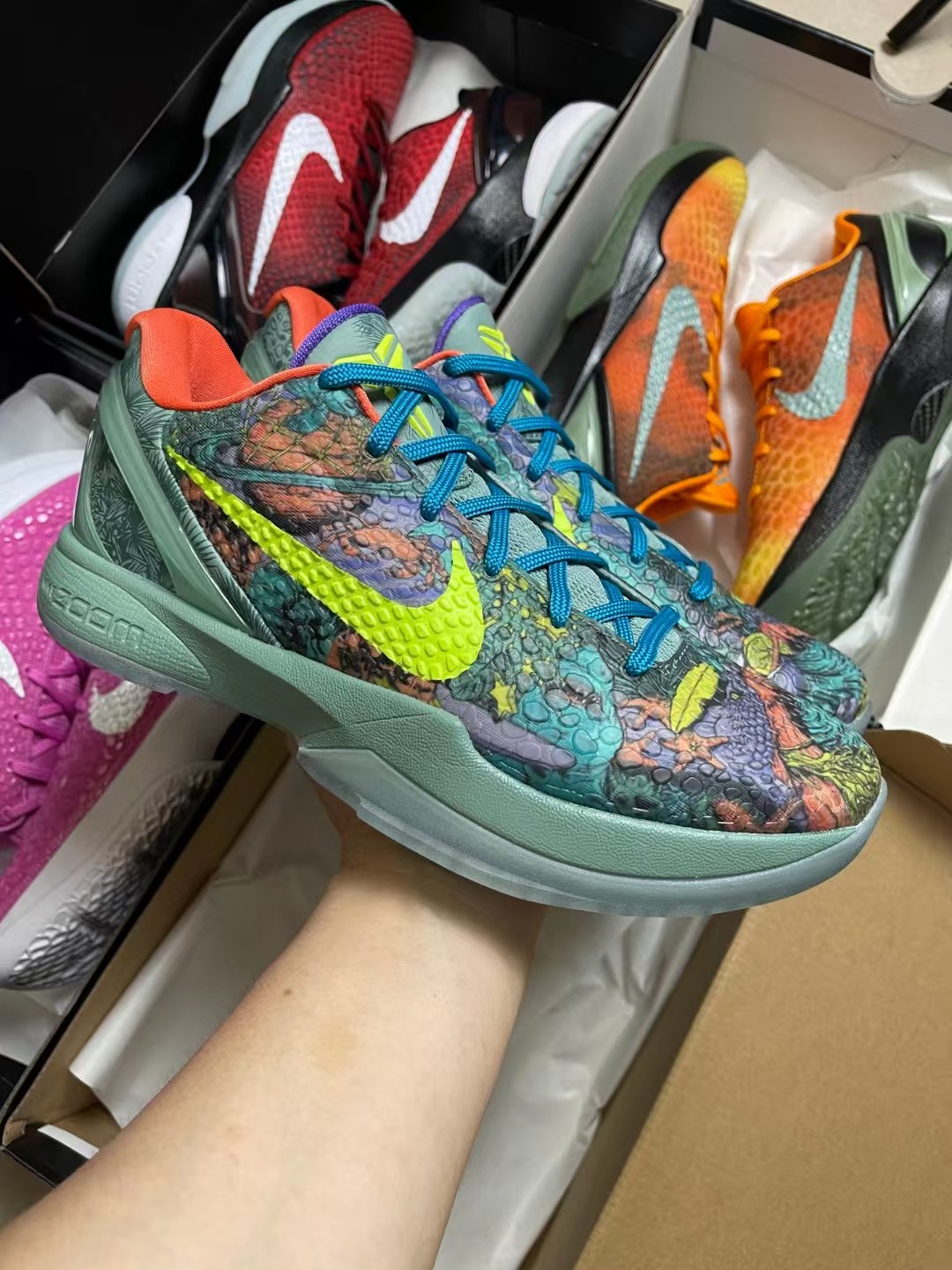 
首批冰点特价 超知名版本 Nike Zoom Kobe 6 三色开炸 库存仅2000+ 多介绍无用 老