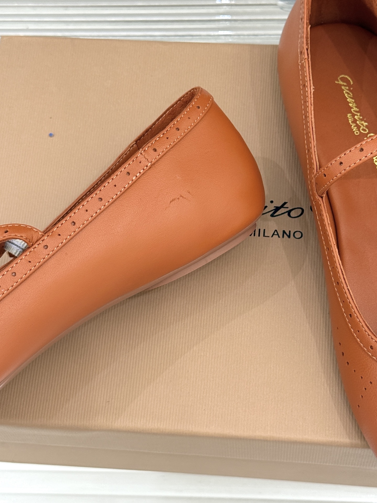 Gianvito Rossi 26WF新品 一字扣雕花芭蕾玛丽珍鞋 雕花鞋面晕开复古柔光 一字扣勾勒脚背线条 芭蕾鞋型自 Gianvito Rossi 26WF新品 一字扣雕花芭蕾玛丽珍鞋 雕花鞋面晕开复古柔光 一字扣勾勒脚背线条 芭蕾鞋型自