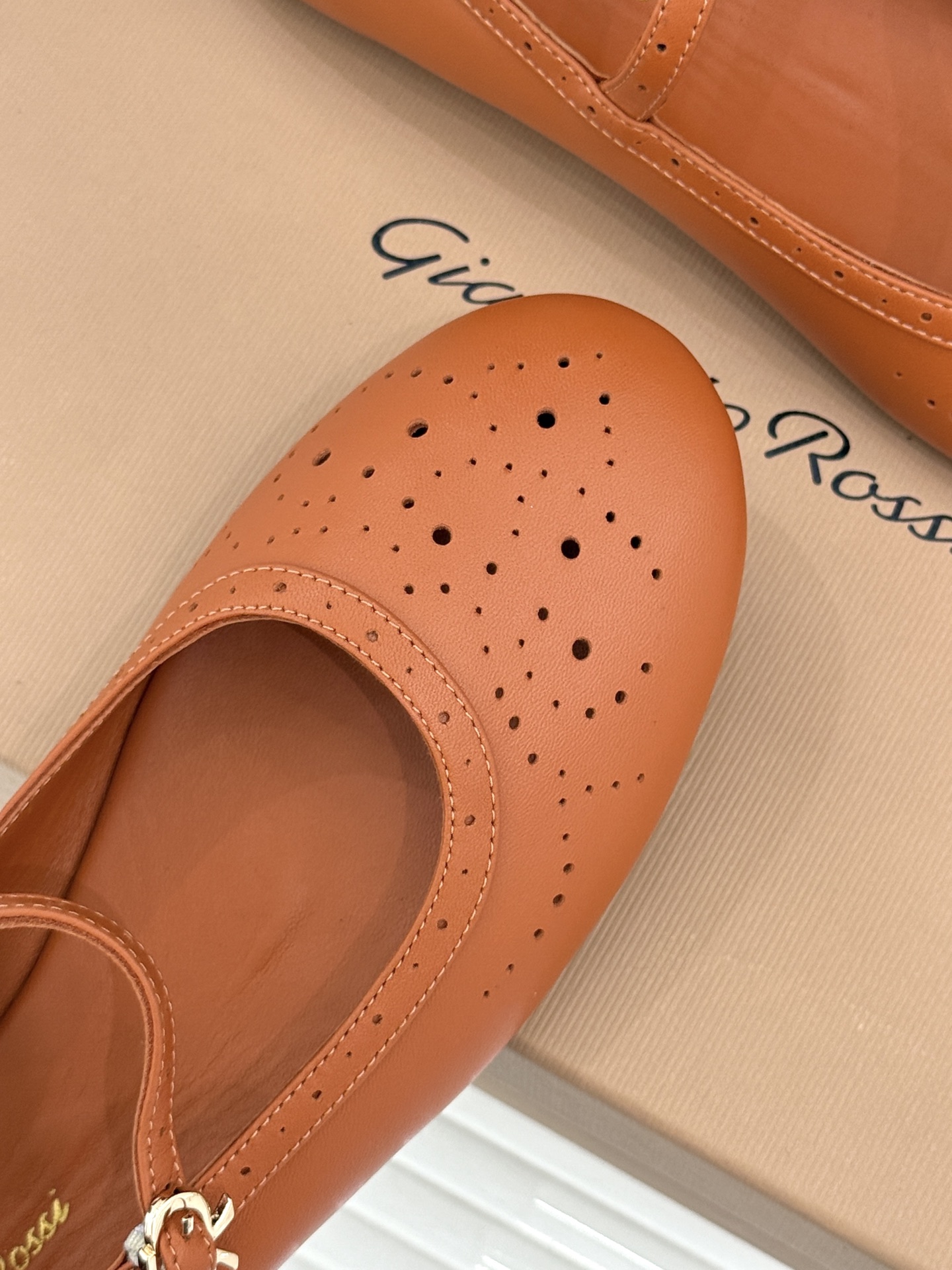 Gianvito Rossi 26WF新品 一字扣雕花芭蕾玛丽珍鞋 雕花鞋面晕开复古柔光 一字扣勾勒脚背线条 芭蕾鞋型自 Gianvito Rossi 26WF新品 一字扣雕花芭蕾玛丽珍鞋 雕花鞋面晕开复古柔光 一字扣勾勒脚背线条 芭蕾鞋型自