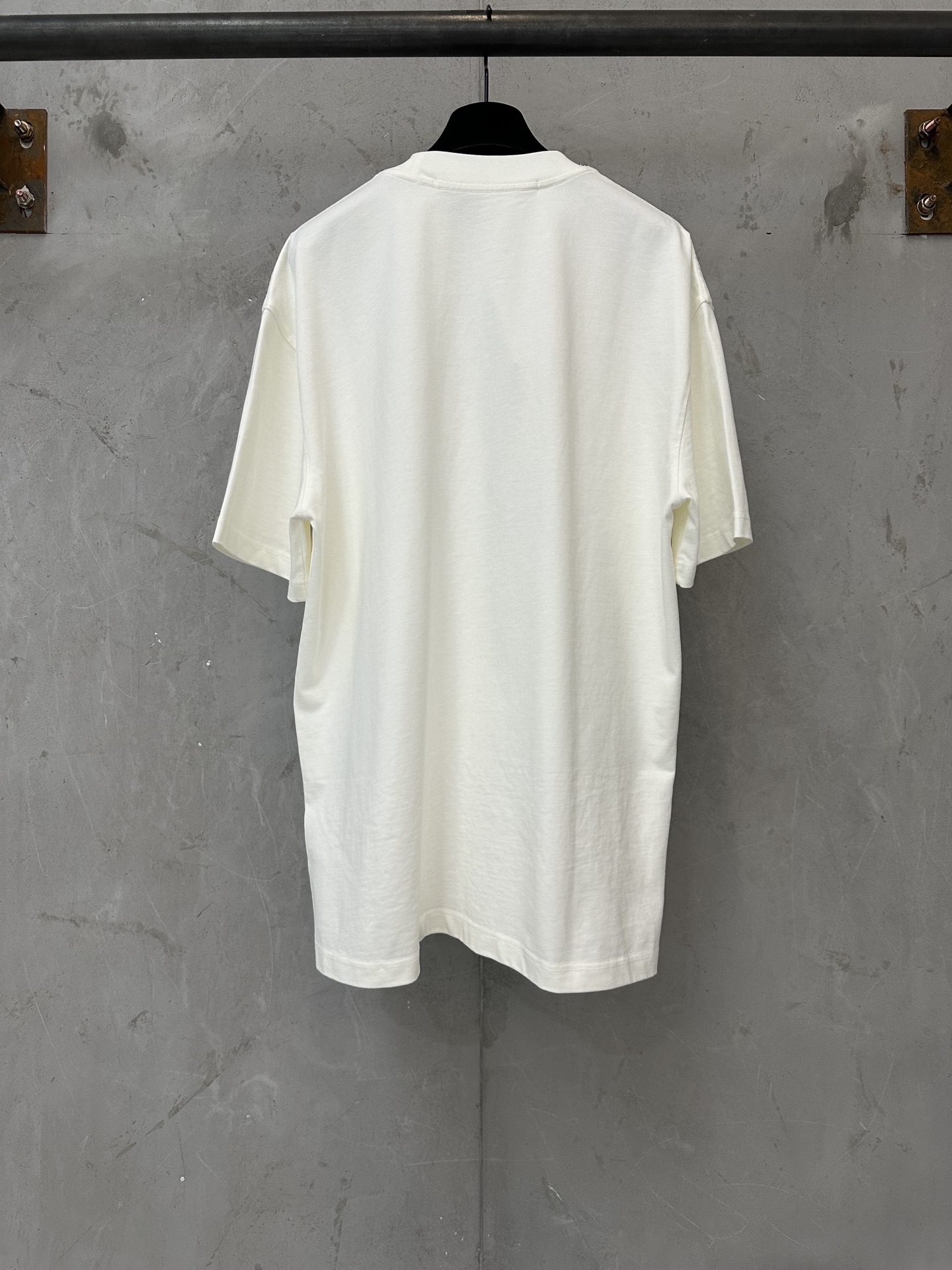 Alexander Wang Alexander wang 亚力山大 王 2026fw 新款发泡短袖T恤