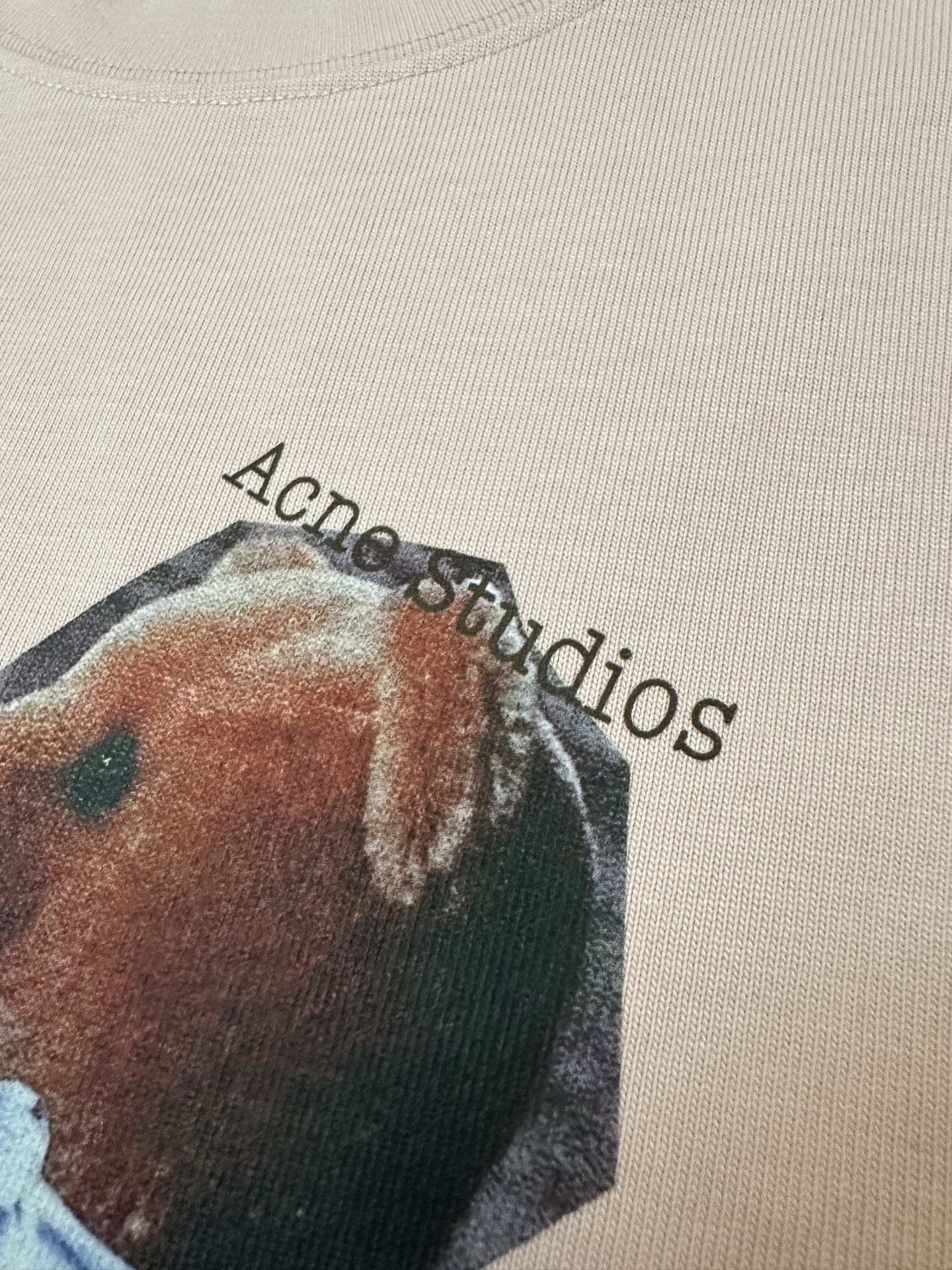Acne Studios Acne studios 艾克妮 26ss 小熊印花短袖T恤