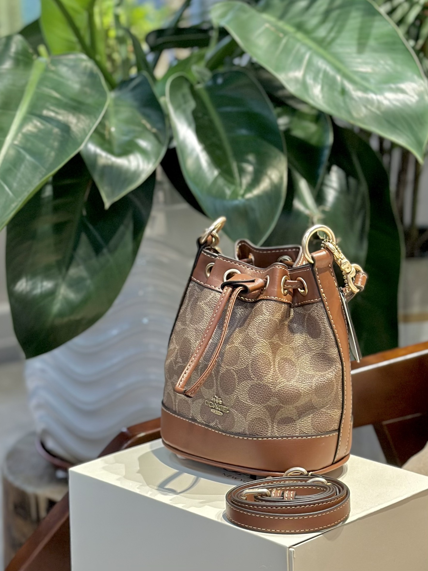 Coach Bucket Bags Mini