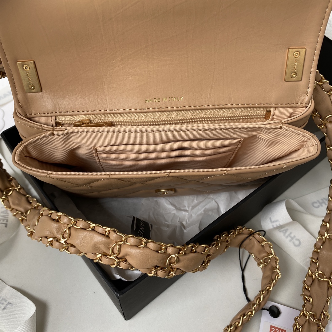 Chanel Luxury Handbag Collection 4