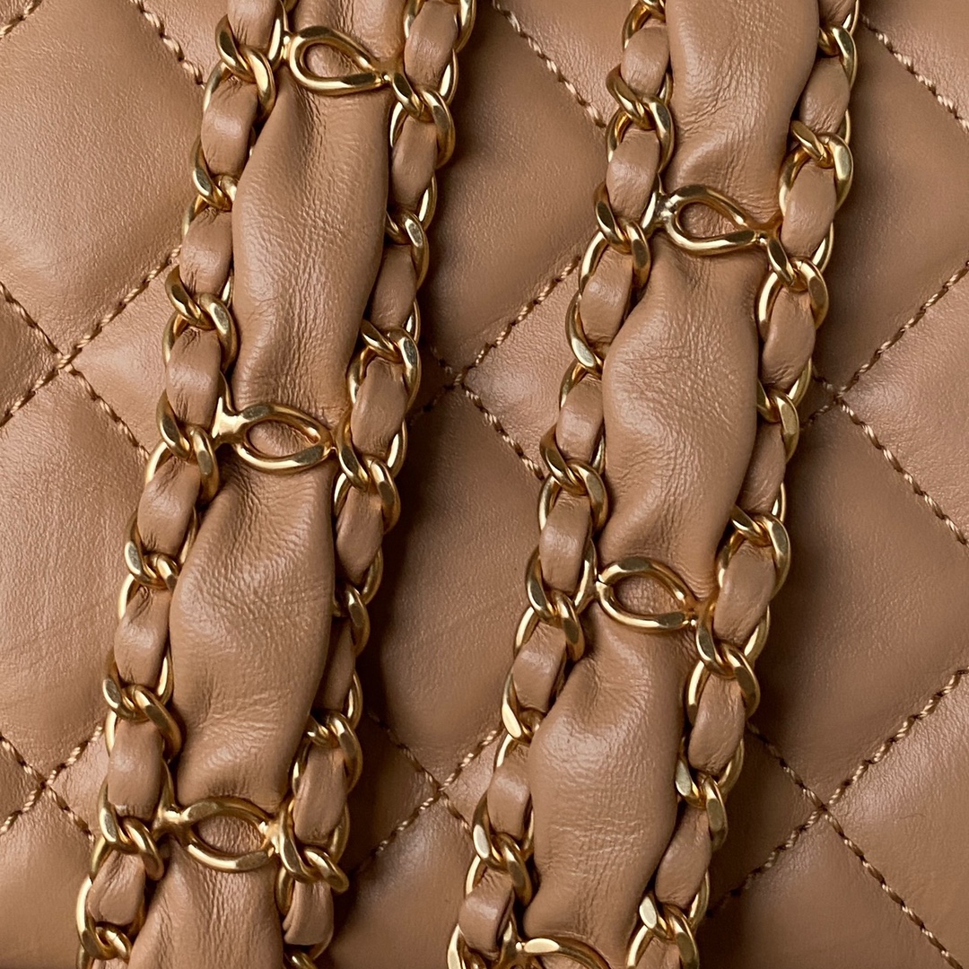 Chanel Luxury Handbag Collection 3