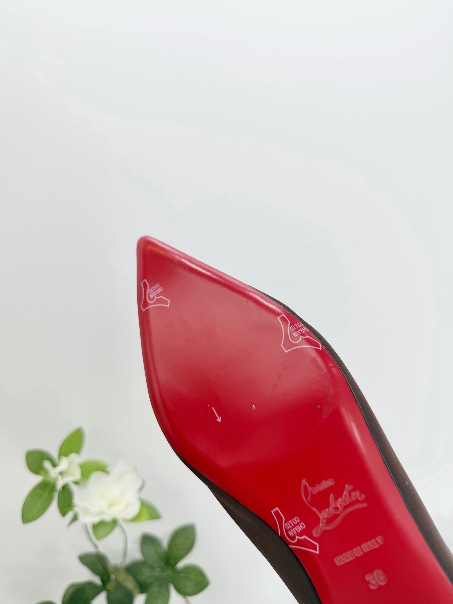 Designer Women Shoes
