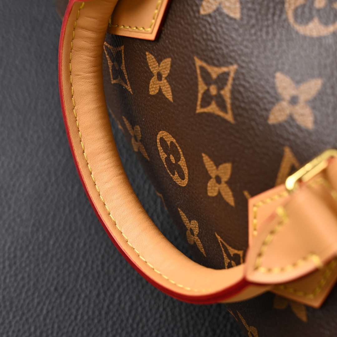 Louis Vuitton LV Speedy 枕头包 小号 M46234 细节展示 LC包包