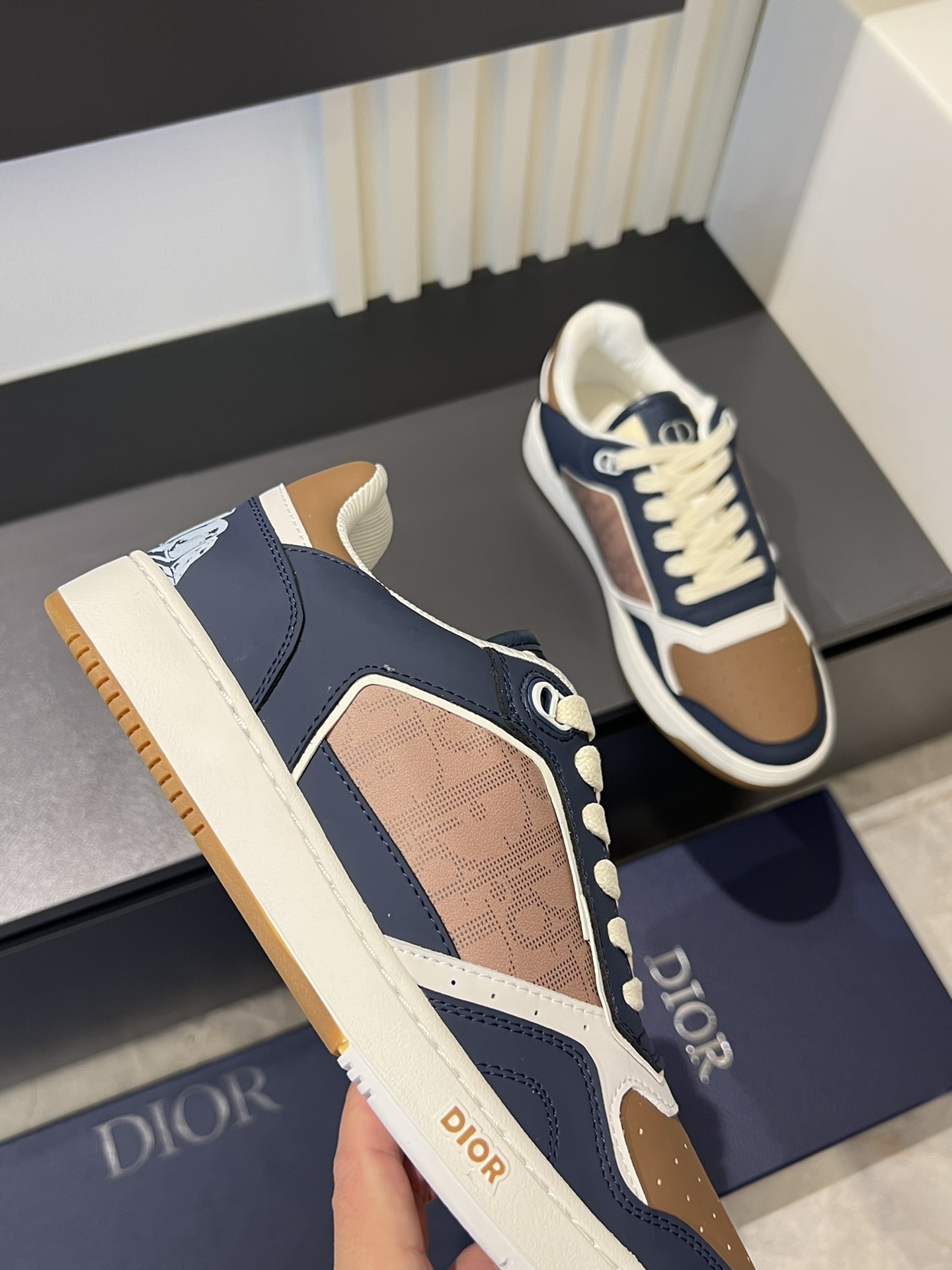 Dior B27 Casual Sneakers - Stylish & Comfortable Designer Footwear 9 i1717491973 4131 6