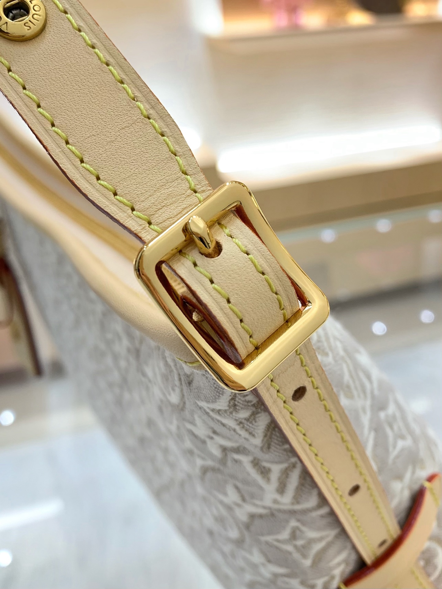 【顶级原单】 款号：M2A136  带163芯片    2026 早秋系列演绎 Carryall East-West 手