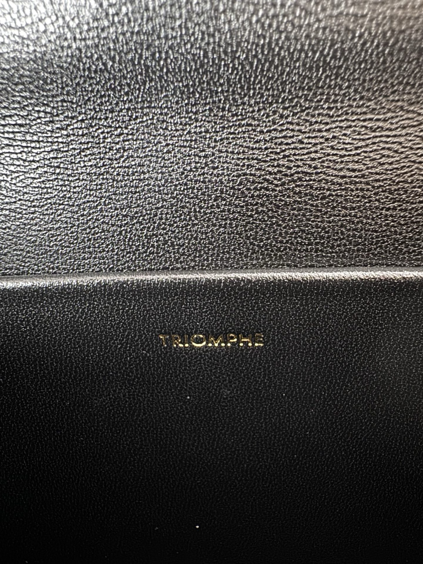 Celine Triomphe Leather Flap Shoulder Bag